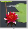 /album/photo-gallery-canvas-uri/decoratiuni-de-perete-canvas-lc-0477-jpg/